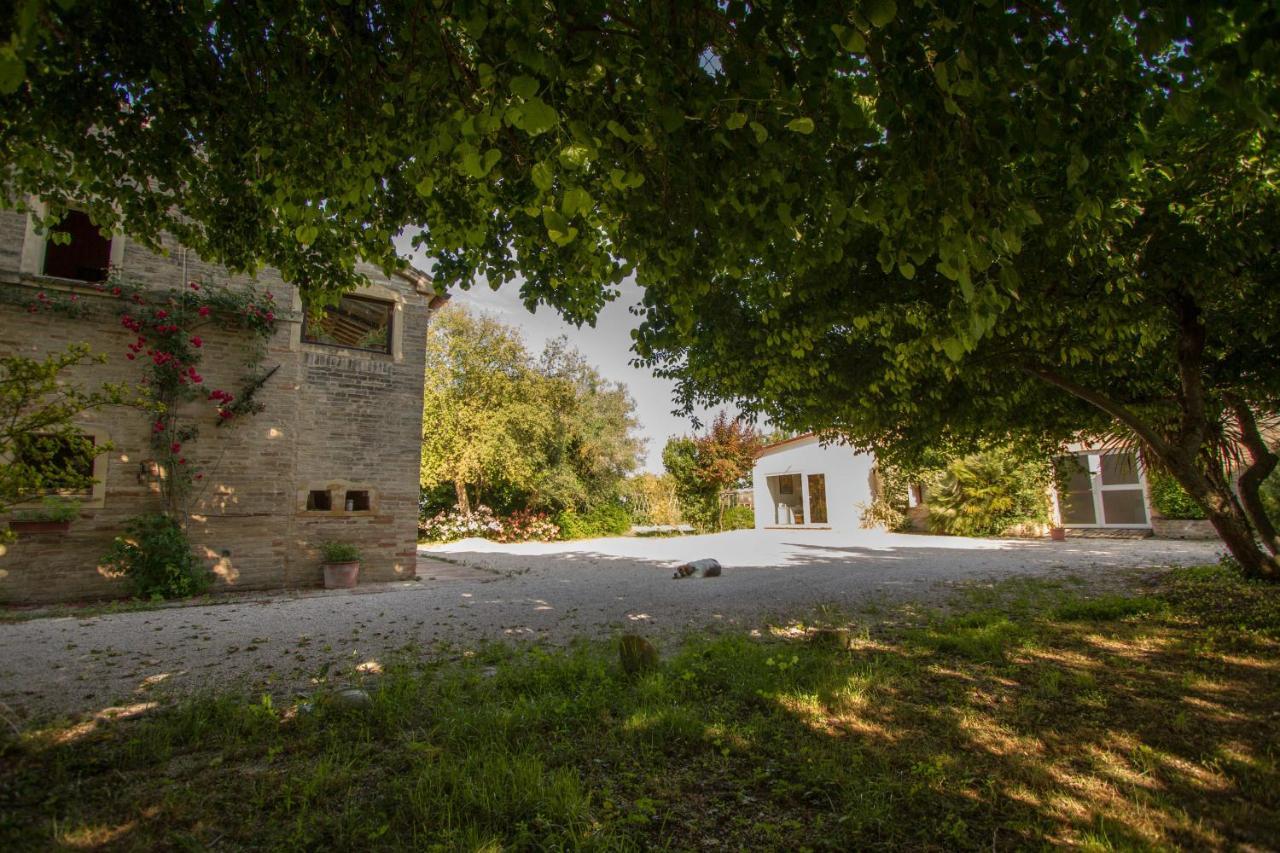 La Casa Di Tara B&B Armonia E Natura Реканати Экстерьер фото