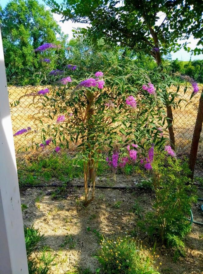 La Casa Di Tara B&B Armonia E Natura Реканати Экстерьер фото