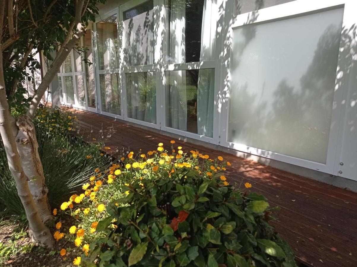 La Casa Di Tara B&B Armonia E Natura Реканати Экстерьер фото