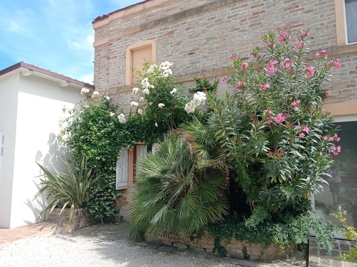 La Casa Di Tara B&B Armonia E Natura Реканати Экстерьер фото
