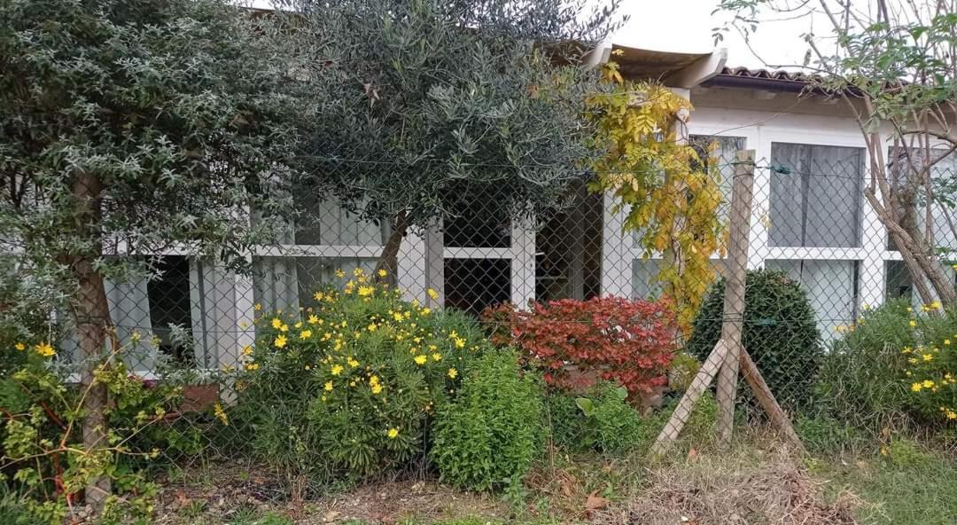 La Casa Di Tara B&B Armonia E Natura Реканати Экстерьер фото