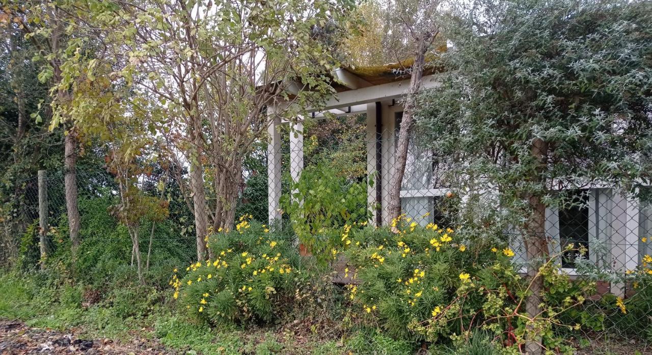 La Casa Di Tara B&B Armonia E Natura Реканати Экстерьер фото