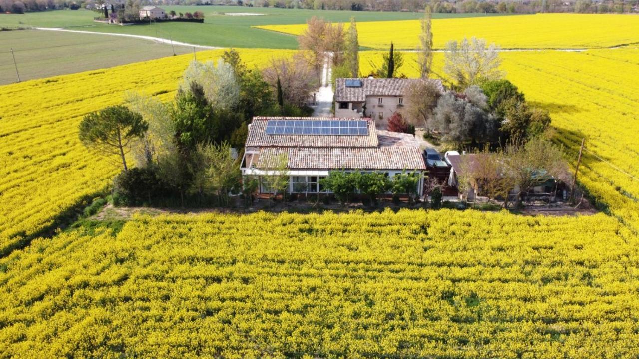 La Casa Di Tara B&B Armonia E Natura Реканати Экстерьер фото