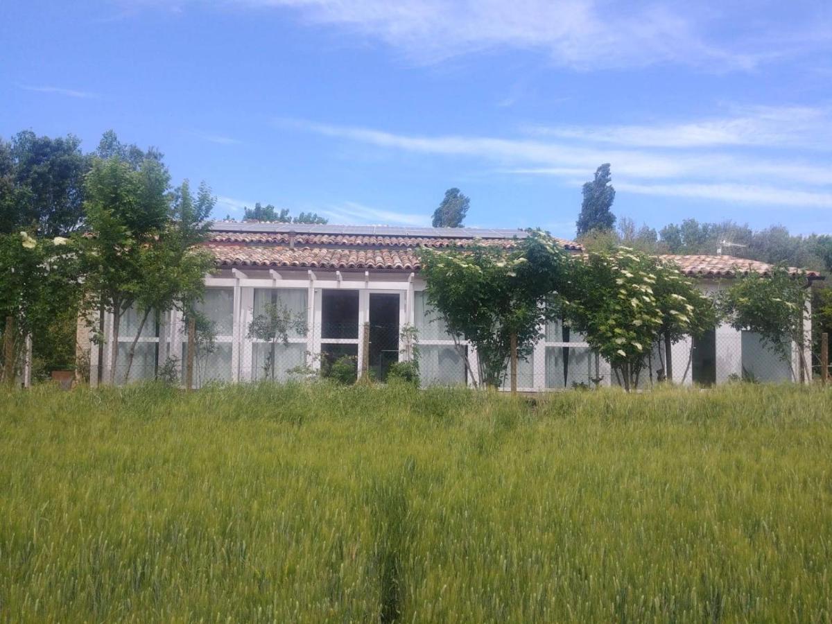 La Casa Di Tara B&B Armonia E Natura Реканати Экстерьер фото
