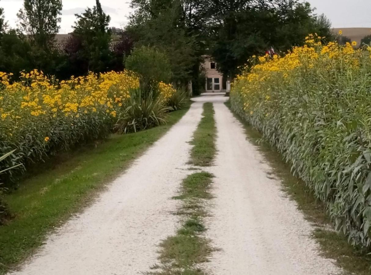 La Casa Di Tara B&B Armonia E Natura Реканати Экстерьер фото