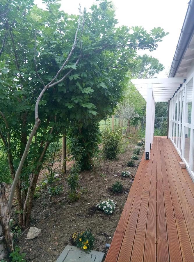 La Casa Di Tara B&B Armonia E Natura Реканати Экстерьер фото