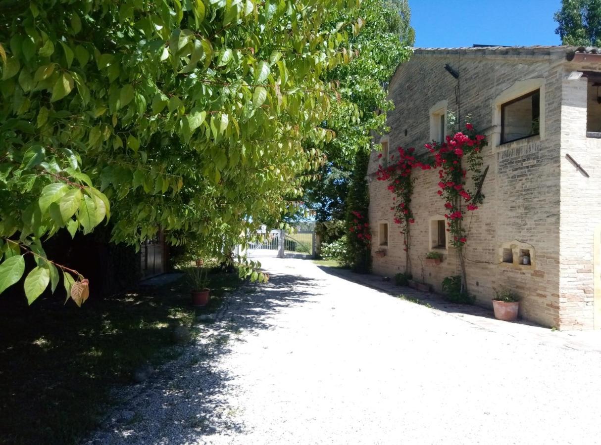La Casa Di Tara B&B Armonia E Natura Реканати Экстерьер фото